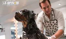 娱乐圈狗子爆料事件,揭秘明星背后的真实故事